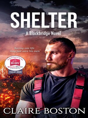 cover image of Shelter